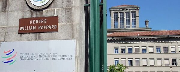 中国专家：美欧应恪守世贸规则按期终止“替代国”条款 - 俄罗斯卫星通讯社