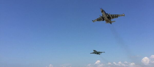 美国政治家：美国为何应对“俄罗斯的叙利亚”“让步”？ - 俄罗斯卫星通讯社