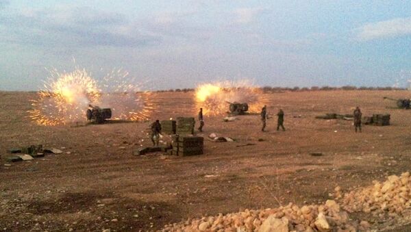 叙军为哈马省攻势进行四年来最大规模炮火准备 - 俄罗斯卫星通讯社
