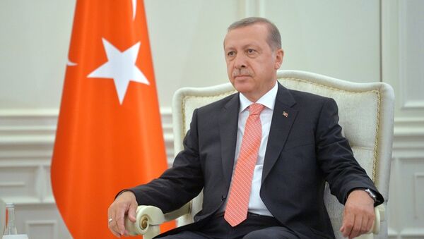 耳其總統埃爾多安 - 俄羅斯衛星通訊社