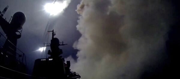 北美防空司令部：俄巡航导弹对美构成重大挑战 - 俄罗斯卫星通讯社