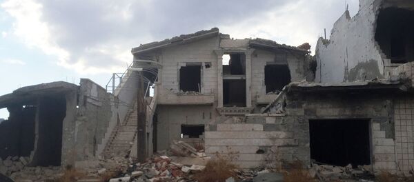 敘利亞 敘利亞 - 俄羅斯衛星通訊社