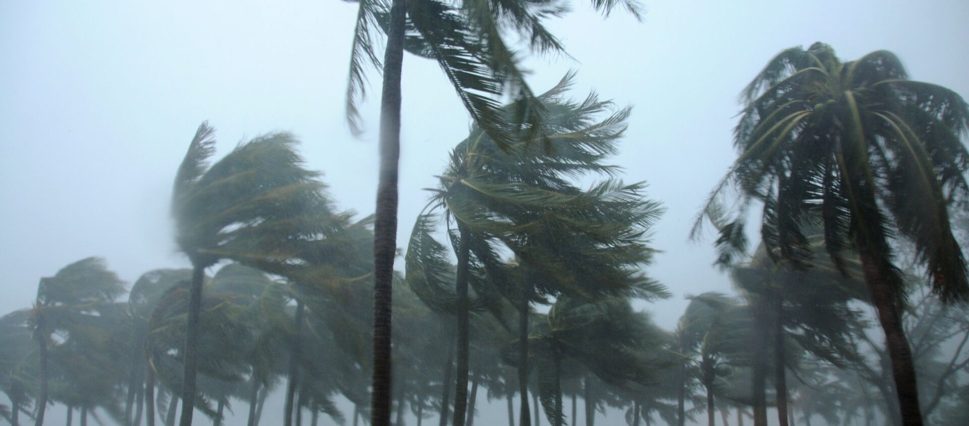 墨西哥遭飓风“帕米拉”侵袭 近20万用户断电 - 俄罗斯卫星通讯社, 1920, 14.10.2021