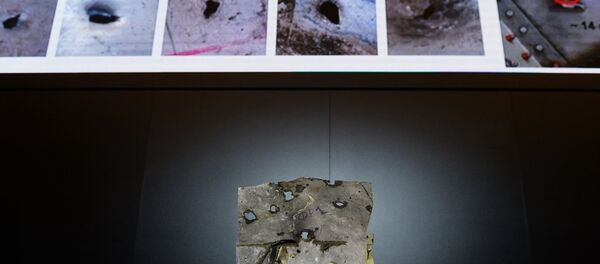 MH-17 - 俄罗斯卫星通讯社