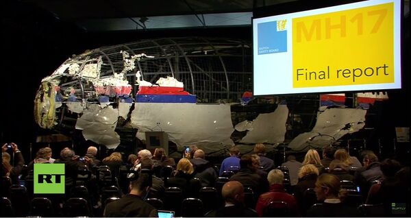 荷兰发布自己对MH17航班空难的调查报告 荷兰发布自己对MH17航班空难的调查报告 - 俄罗斯卫星通讯社