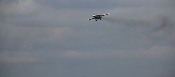 叙利亚 - 俄罗斯卫星通讯社