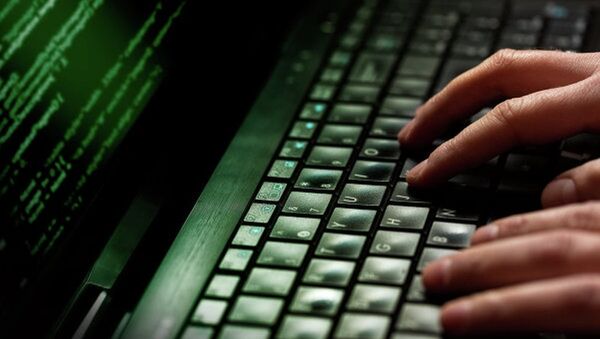 瑞士情报部门在社交网络上发现至少400名圣战分子嫌疑人 - 俄罗斯卫星通讯社