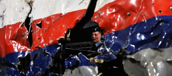 俄罗斯联邦航空运输部：俄联邦向荷兰提供关于MH-17航班的雷达资料 - 俄罗斯卫星通讯社