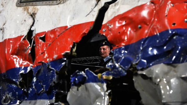 马来西亚总理指出MH17飞机坠毁的结论有政治动机并没有有力证据 - 俄罗斯卫星通讯社