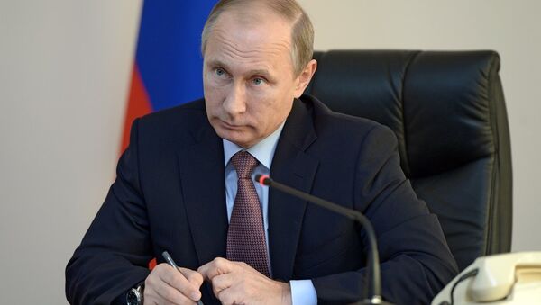 俄总统普京下令在2017年举行俄罗斯生态年 - 俄罗斯卫星通讯社