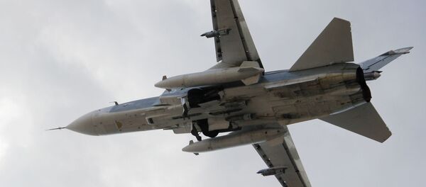 叙利亚反对派：不能责怪俄空天军在叙开展空袭 其目标是恐怖分子 - 俄罗斯卫星通讯社