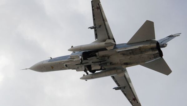 叙利亚反对派：不能责怪俄空天军在叙开展空袭 其目标是恐怖分子 - 俄罗斯卫星通讯社
