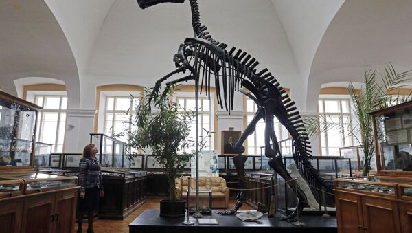 俄罗斯学者提出另一种关于恐龙灭绝的假说 - 俄罗斯卫星通讯社