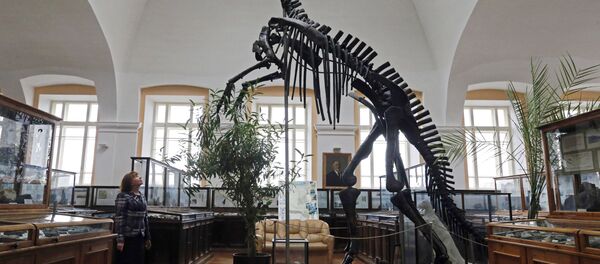 俄罗斯学者提出另一种关于恐龙灭绝的假说 俄罗斯学者提出另一种关于恐龙灭绝的假说 - 俄罗斯卫星通讯社