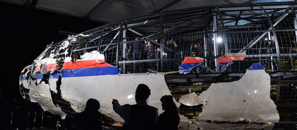 MH-17 - 俄羅斯衛星通訊社