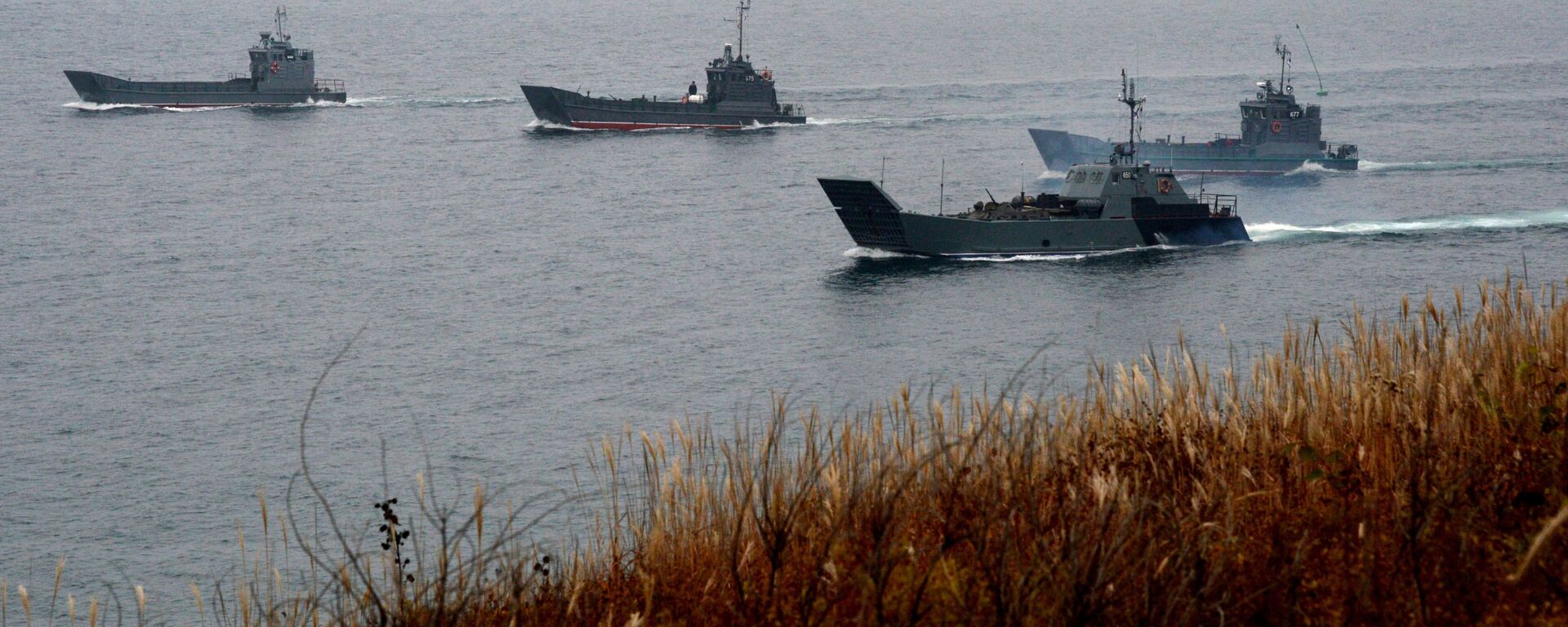 俄太平洋艦隊舉行海軍陸戰隊登陸演習 - 俄羅斯衛星通訊社, 1920, 07.10.2025