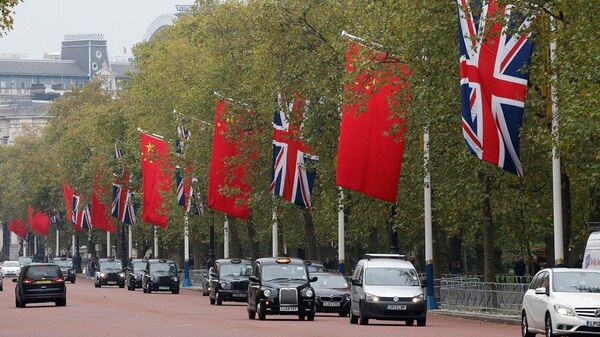 中国外交部：中方欢迎英国首相特蕾莎·梅适时访华 - 俄罗斯卫星通讯社