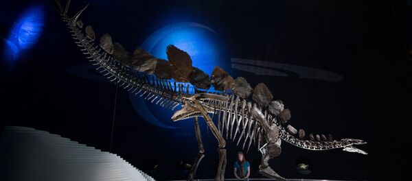 恐龍 - 俄羅斯衛星通訊社