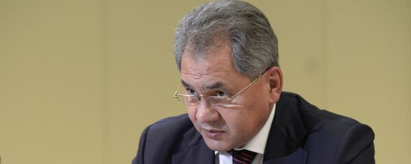 俄防长:叙境内武装分子重返亚太地区加剧恐怖主义威胁 俄防长:叙境内武装分子重返亚太地区加剧恐怖主义威胁 - 俄罗斯卫星通讯社