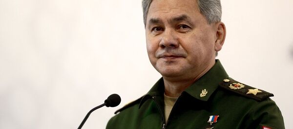 谢尔盖·绍伊古 - 俄罗斯卫星通讯社