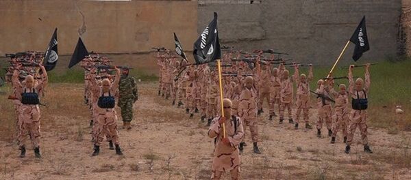 俄外长：“伊斯兰国”战力骨干由萨达姆军队前军官构成 - 俄罗斯卫星通讯社