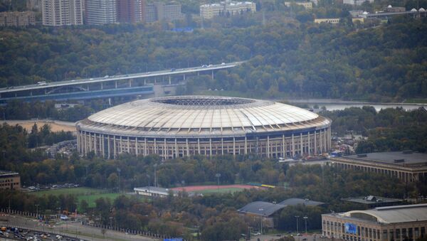 莫斯科“卢日尼基”体育场 - 俄罗斯卫星通讯社