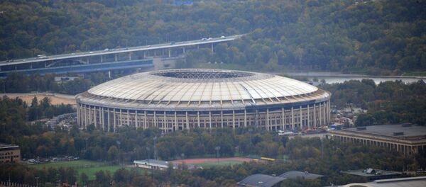 莫斯科“卢日尼基”体育场 - 俄罗斯卫星通讯社