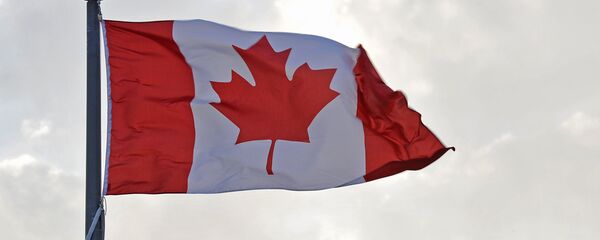 外媒：加拿大空军或涉嫌伊拉克平民死亡 - 俄罗斯卫星通讯社