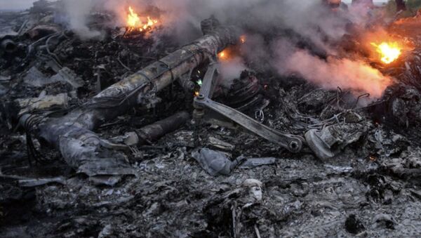 埃及救援人员在西奈半岛俄客机失事地点找到175具遗体 - 俄罗斯卫星通讯社