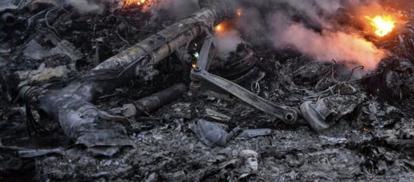 消息人士:埃及方面未在METROJET航班起飞前对其进行检查 消息人士:埃及方面未在METROJET航班起飞前对其进行检查 - 俄罗斯卫星通讯社