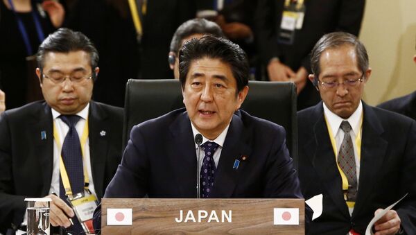 日本首相表示有必要加强与韩国和中国的合作 - 俄罗斯卫星通讯社