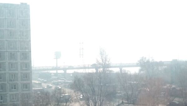 俄哈巴罗夫斯克边疆区烟雾笼罩 请求中国黑龙江省政府灭火 - 俄罗斯卫星通讯社