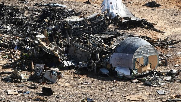 俄紧急情况部：空客A321埃及坠毁现场找到12大块机身残骸 - 俄罗斯卫星通讯社