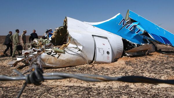 普京发言人谈空客A321遇恐袭可能性：不能排除任何可能 - 俄罗斯卫星通讯社