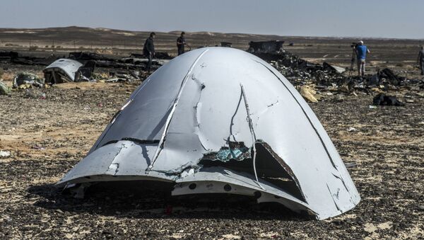 科加雷姆航空表示，飞机空中解体原因只可能是机械故障 - 俄罗斯卫星通讯社
