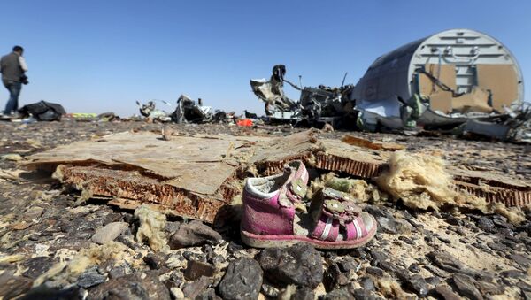 Обломки разбившегося самолета на Синайском полуострове - 俄羅斯衛星通訊社