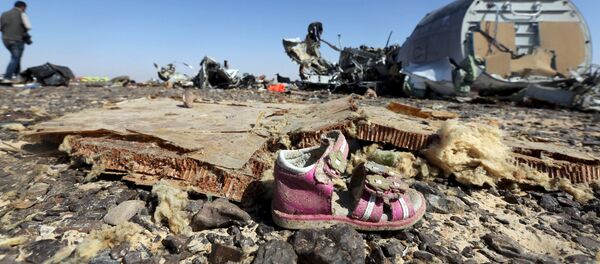 A321客机 - 俄罗斯卫星通讯社