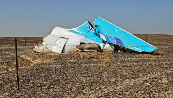 Поисковые работы на месте крушения российского самолета Airbus A321 в Египте - 俄罗斯卫星通讯社