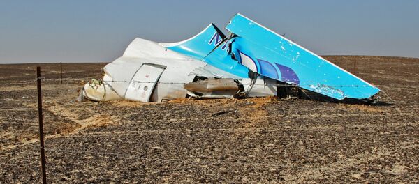 Поисковые работы на месте крушения российского самолета Airbus A321 в Египте - 俄罗斯卫星通讯社