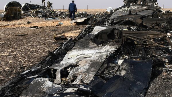 媒體：空客A-321事故的原因為發動機發生爆炸 - 俄羅斯衛星通訊社