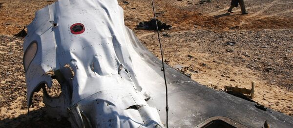 埃及民航部部长：没有迹象表明俄A321机舱内曾发生爆炸 - 俄罗斯卫星通讯社