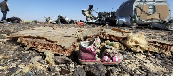 俄航空运输署：俄A321客机空难调查不应先推断后取证 - 俄罗斯卫星通讯社