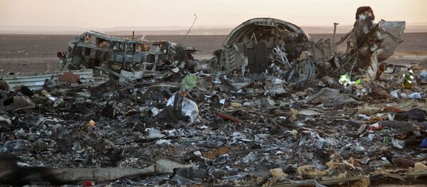 前中情局副局长质疑伦敦关于在A321飞机上有炸弹的说法 - 俄罗斯卫星通讯社