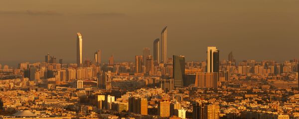 阿布扎比 - 俄罗斯卫星通讯社