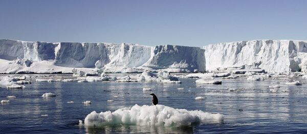 南极 - 俄罗斯卫星通讯社