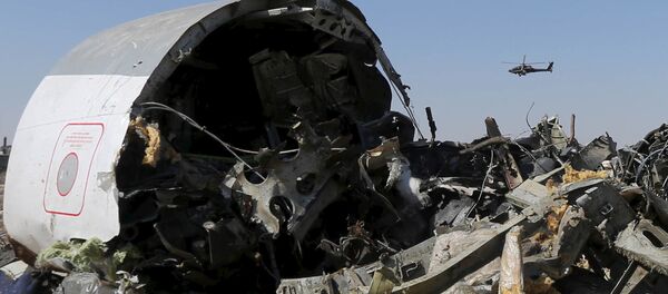 俄总统新闻秘书：侦查机构暂时就A321空难甚至没有初步结论 - 俄罗斯卫星通讯社