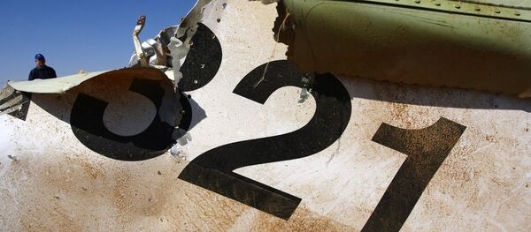 俄安全局宣布对提供恐袭A321客机有关线索悬赏5000万美元 - 俄罗斯卫星通讯社