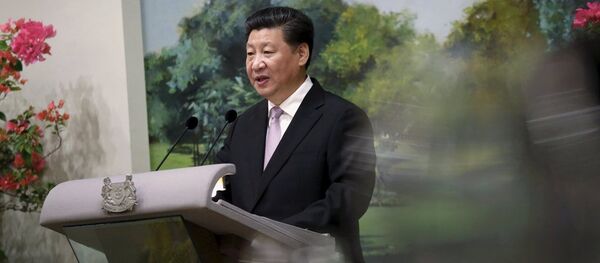 習近平 習近平 - 俄羅斯衛星通訊社