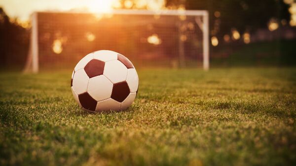 德國足球協會：德國將申辦2024年歐洲杯 - 俄羅斯衛星通訊社