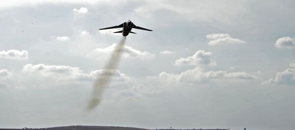 Самолет МиГ-23 сирийских ВВС на военной авиабазе Хама в Сирии - 俄罗斯卫星通讯社